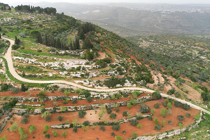 القطاع العقاري